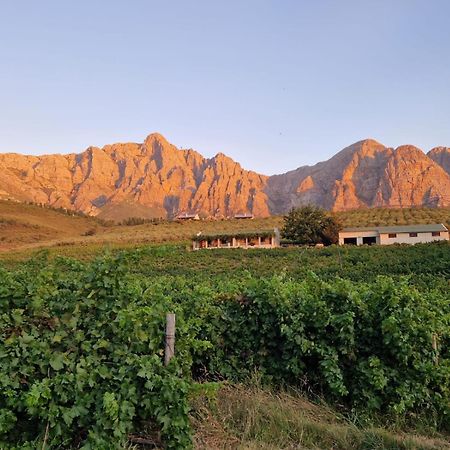 Vredehoek Guest Farm Breërivier Exteriör bild