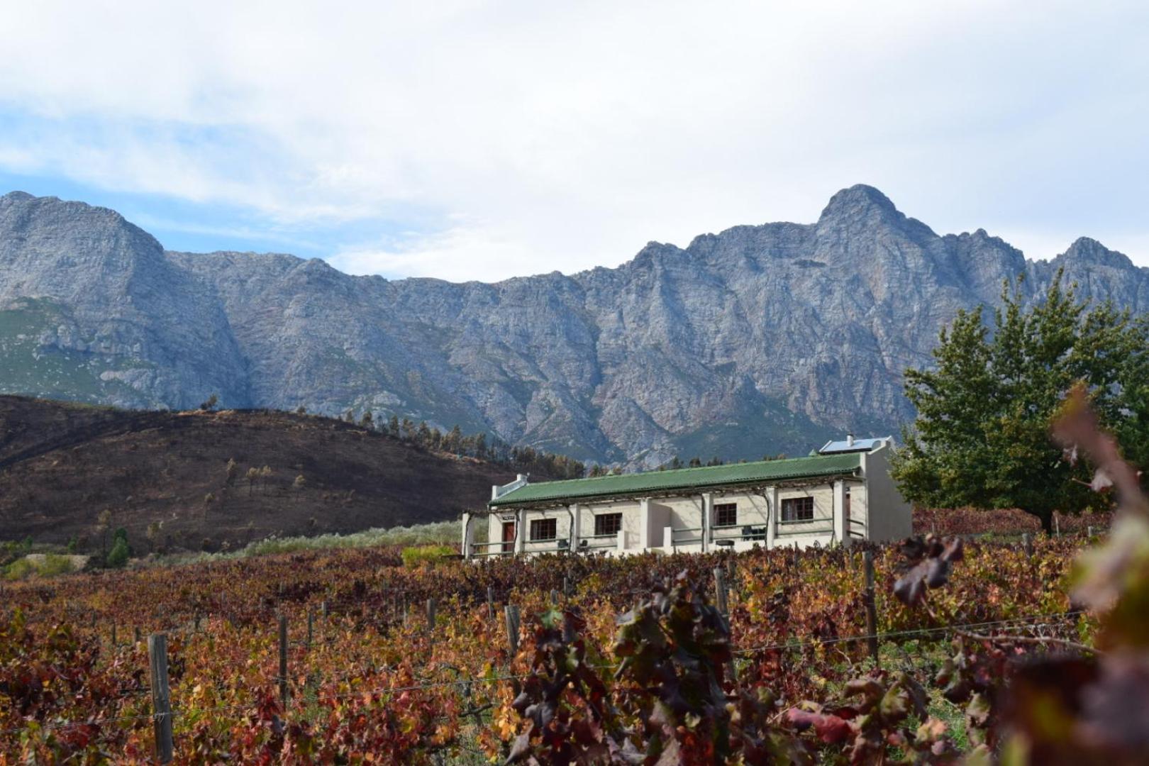Vredehoek Guest Farm Breërivier Exteriör bild