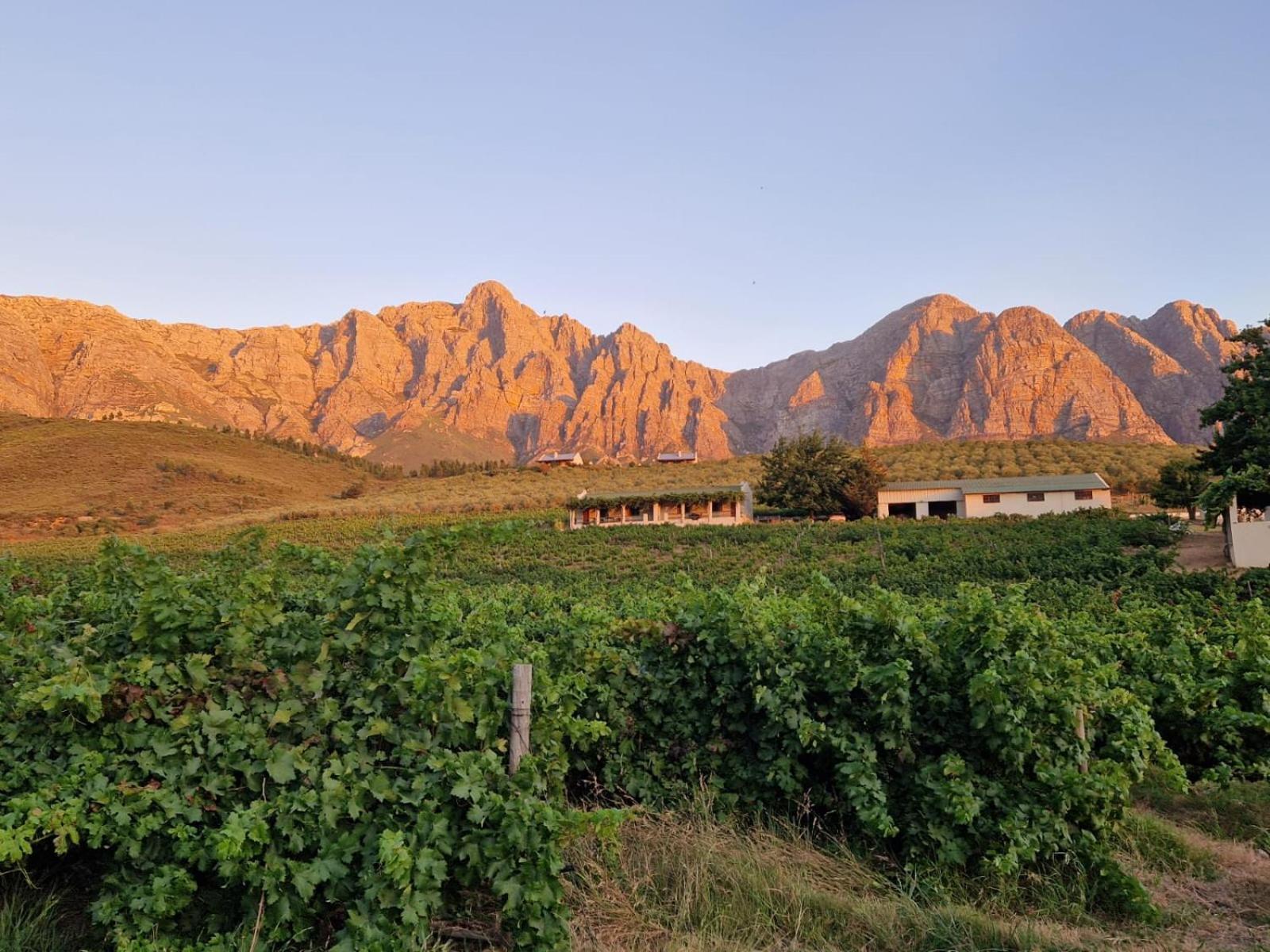 Vredehoek Guest Farm Breërivier Exteriör bild